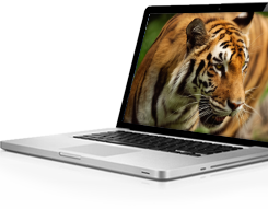 Laptop with tiger on screen